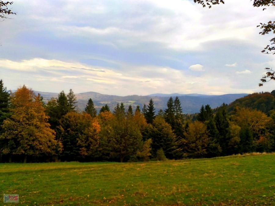 Widoczki