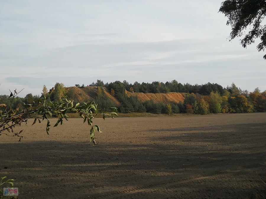 idzie jesień