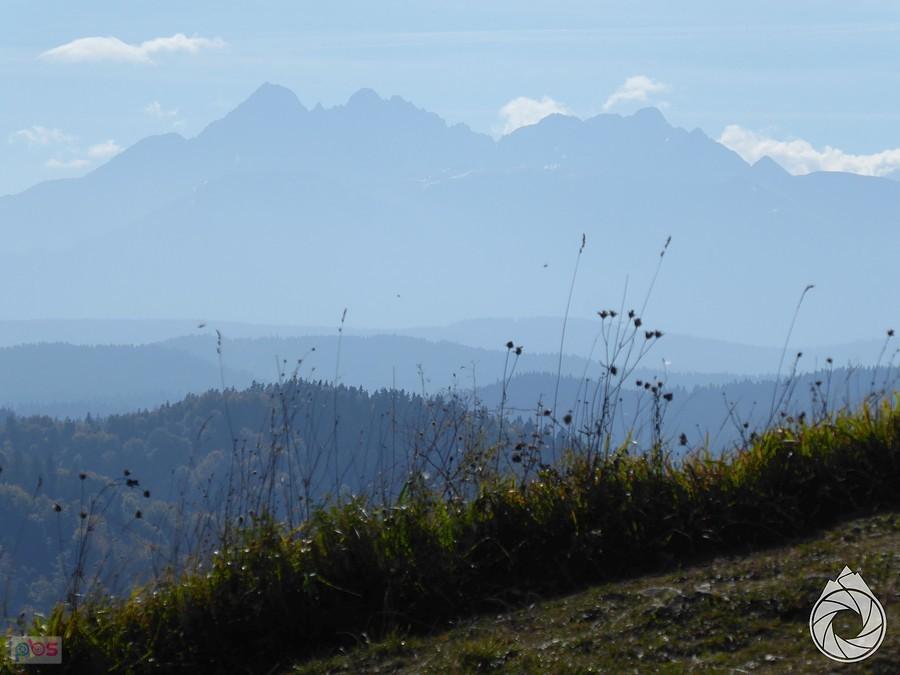 Tatry z Lesnickiego sedla