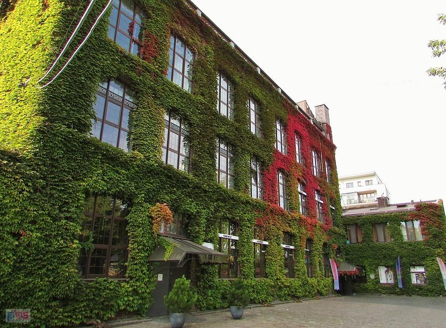 Fabryka Koronek Szymona Landau