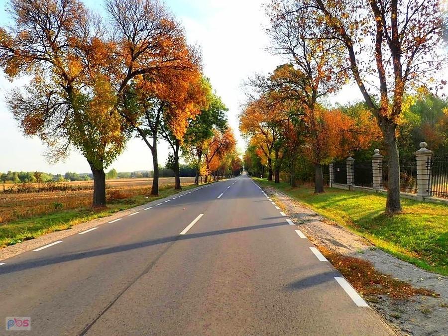 Droga do Konstantynowa ("brzeska")