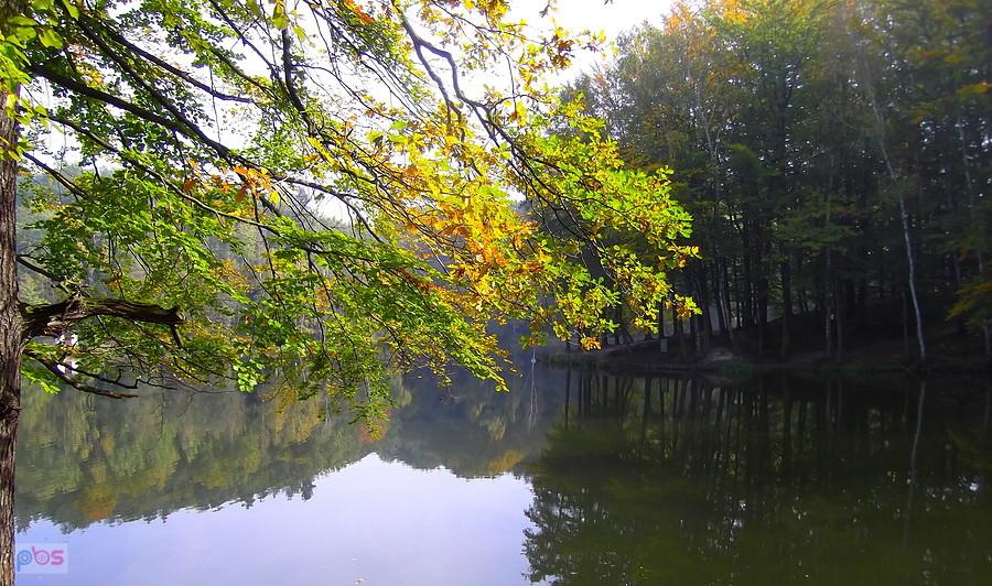 Kąpielisko "Balaton"
