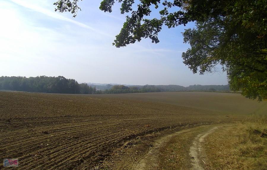 Przez pola i lasy do Wodzisławia.