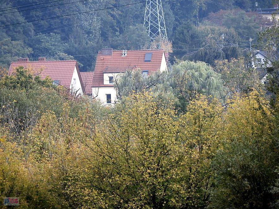 Na skraju lasu Arkońskiego - widok z ulicy Kochanowskiego.