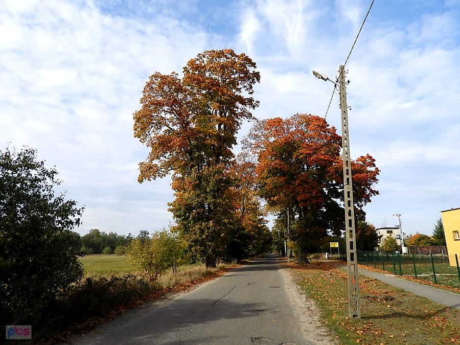 Jesienią - tuż za Grzepnicą.