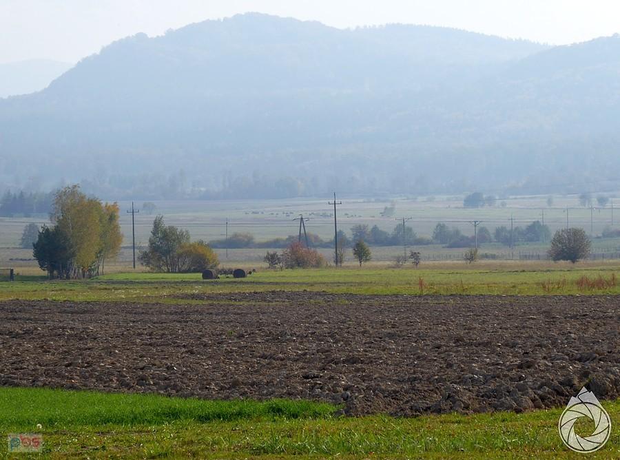 Cieklinka prawie w całej okazałości