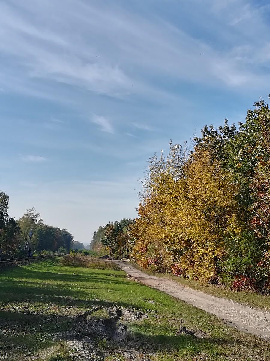 Dąbrowa Górnicza - Linii kolejowej nr 183