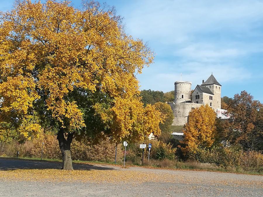 Zamek w Będzinie