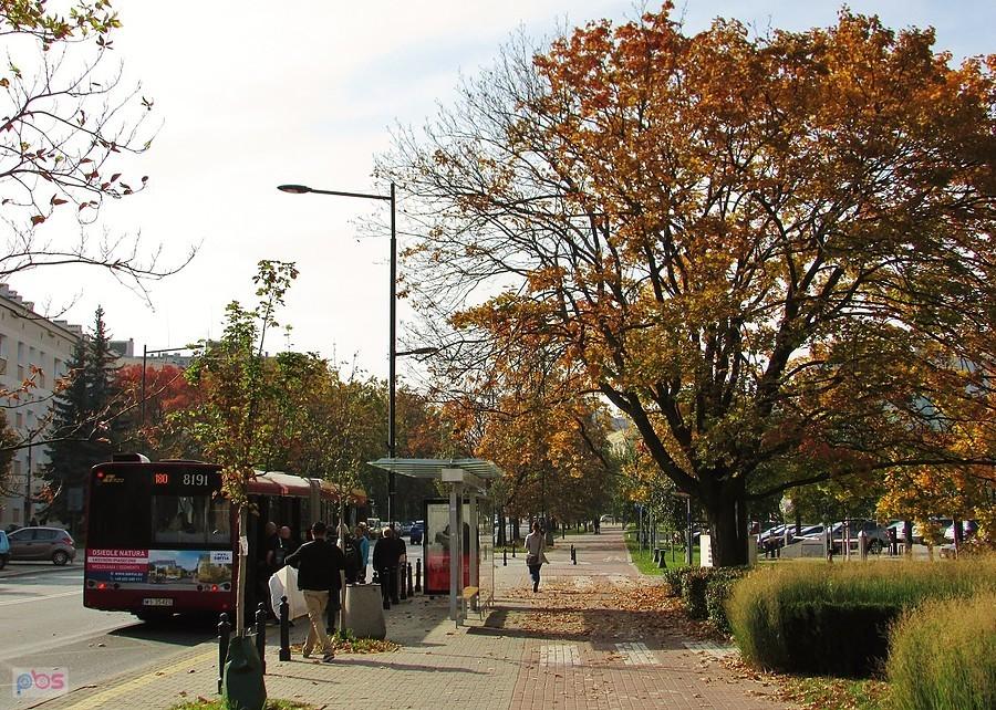 Przystanek autobusowy na Anielewicza