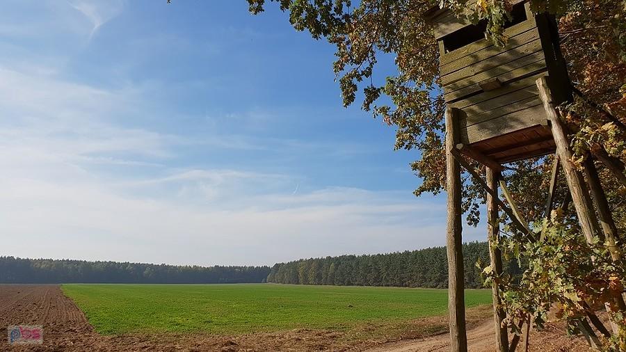 Dojazd pożarowy 27