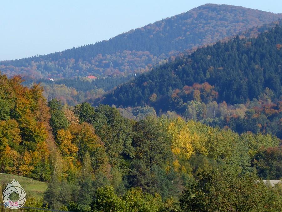 Miejska Góra w barwach wczesnej jesieni