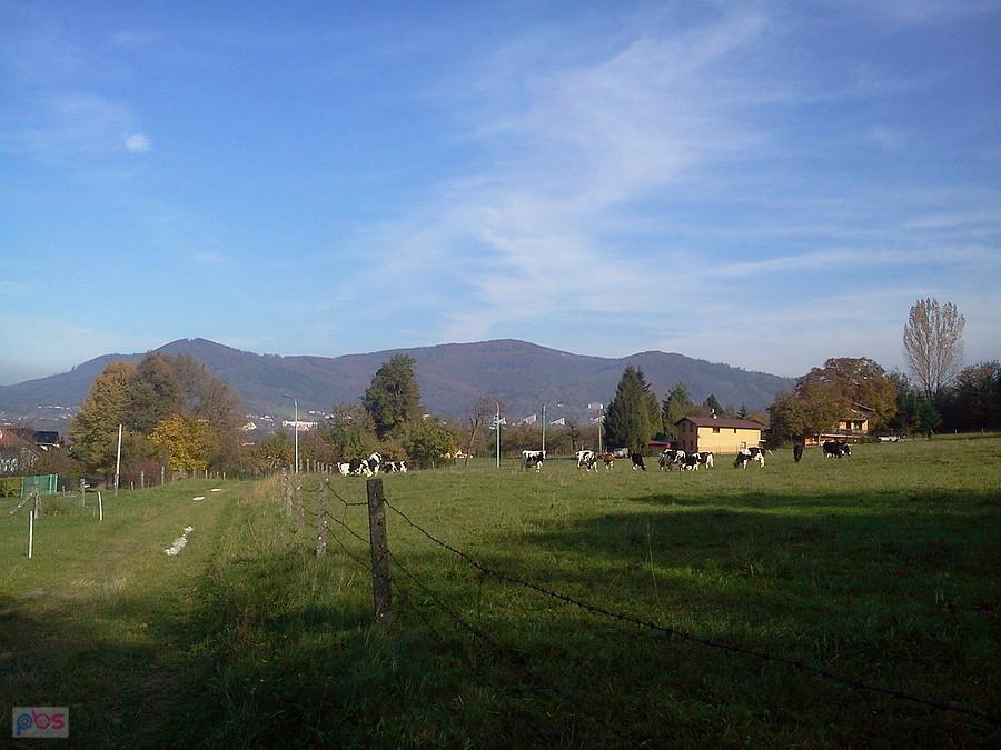 Widoczek na Równicę