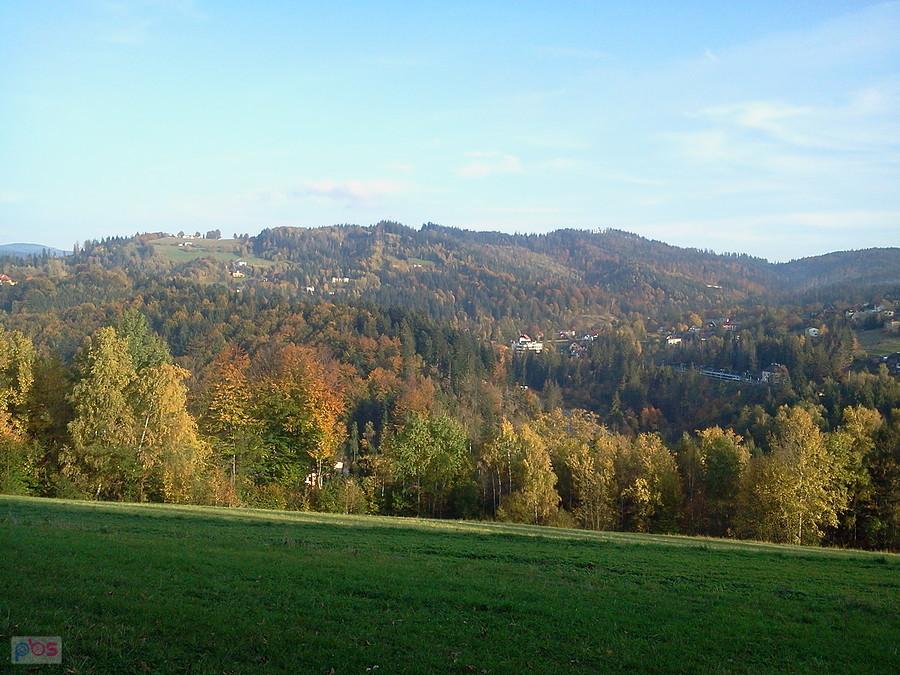 Kozińce