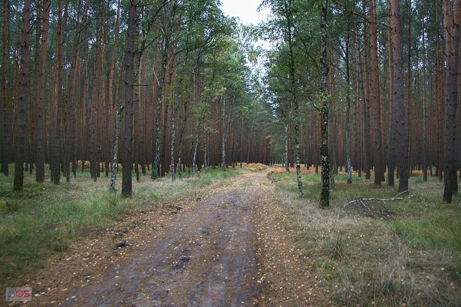 dokąd zaprowadzi mnie ta droga??