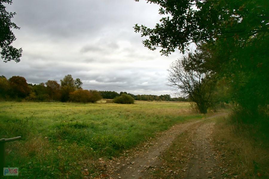 a może to będzie lepszy wybór ??
