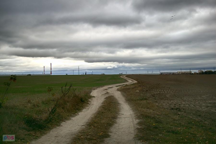 polną drogą na skróty do Stargardu