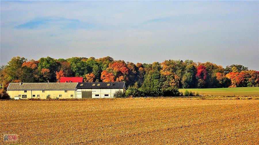 Wycieczka rowerowa - jesienne klimaty na Kociewiu.