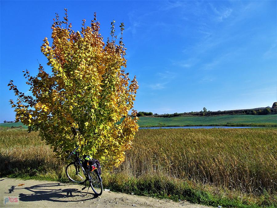 Wycieczka rowerowa - jesienne klimaty na Kociewiu.