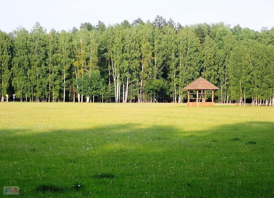 Puszcza Białowieska. Uroczysko Czoło