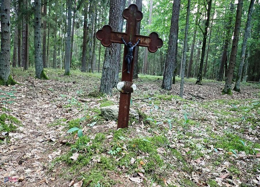 Czoło. Cmentarz ewangelicki (tzw. niemiecki)
