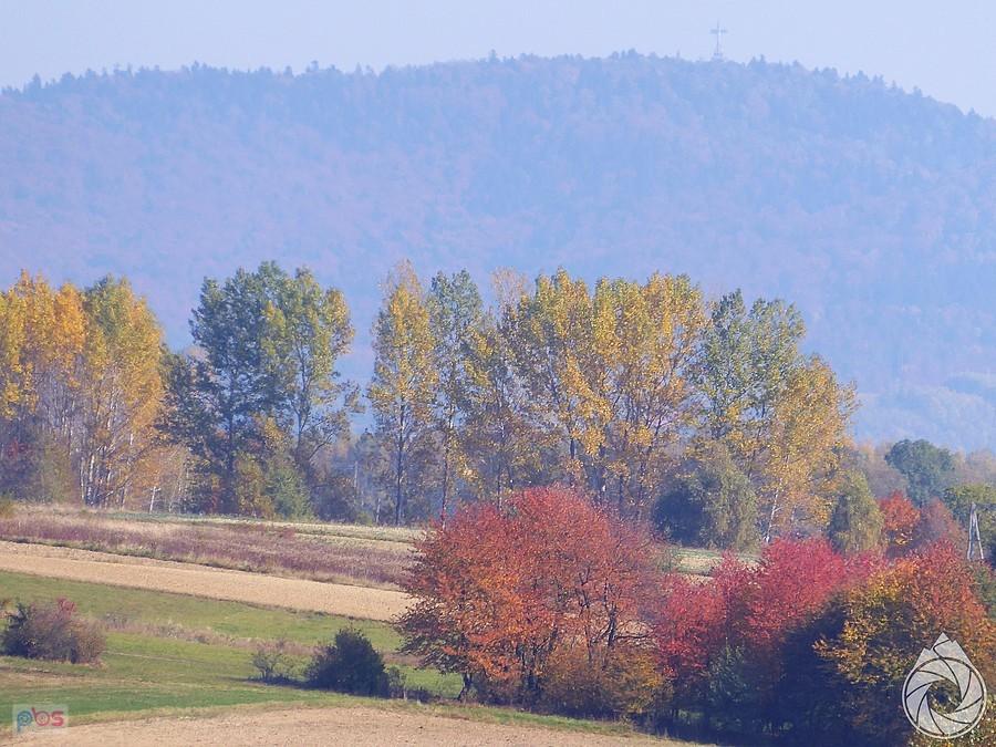 znów Liwocz w oddali