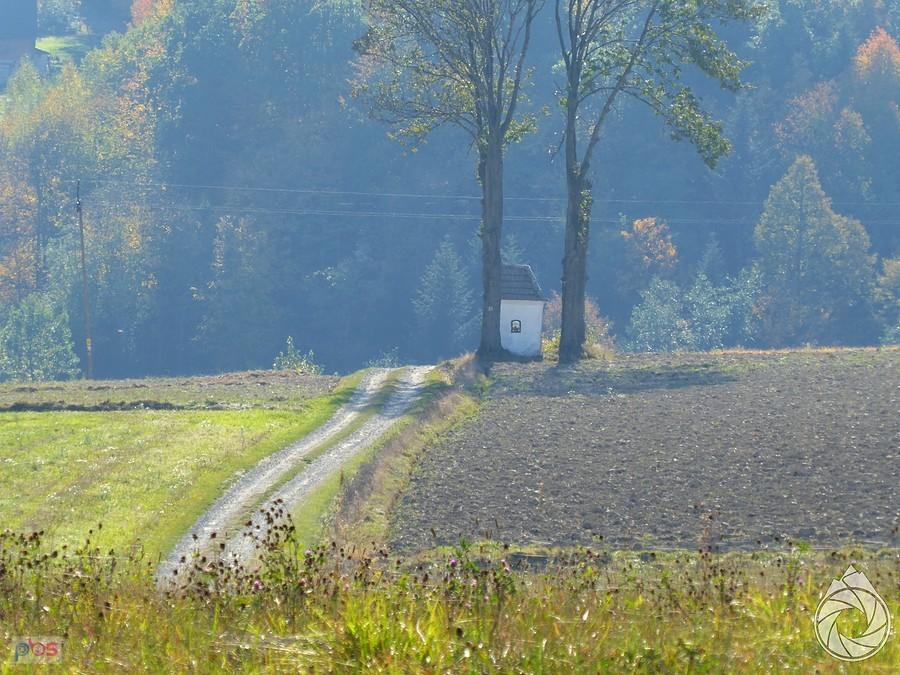 przydrożna kapliczka nad Ołpinami