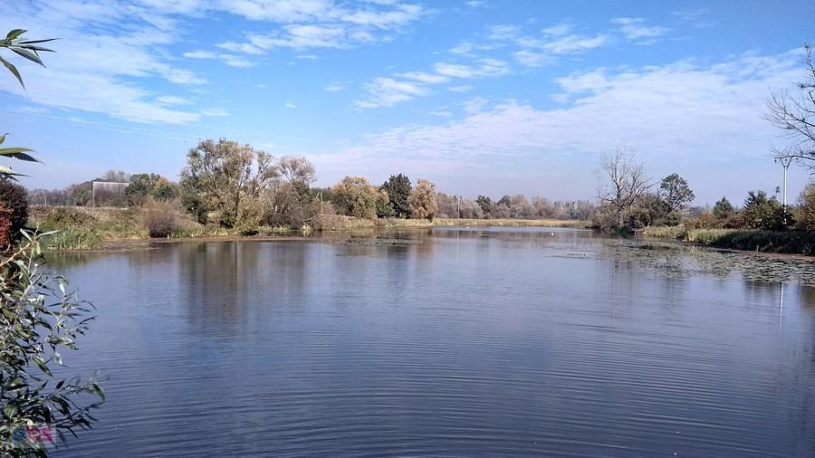 Stara Odra