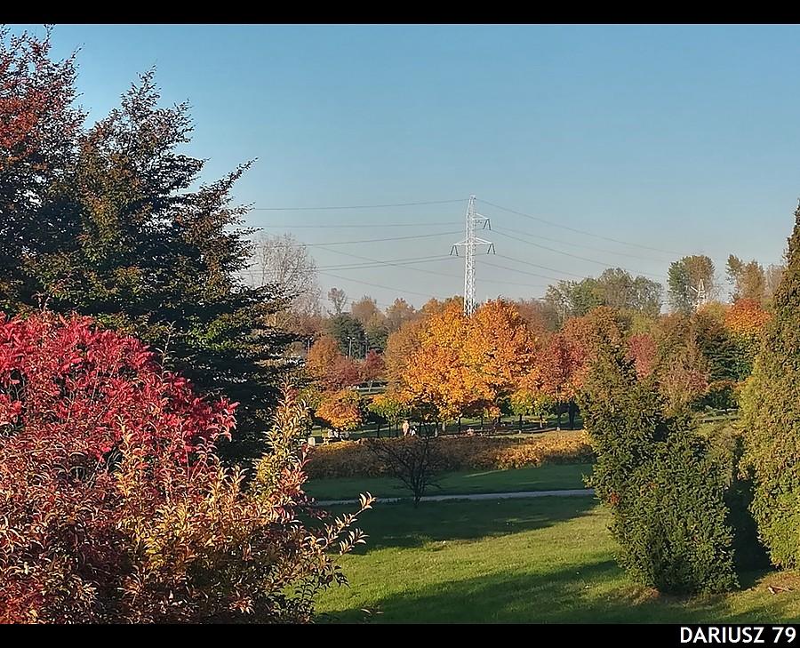 Sosnowiec - Park Środula