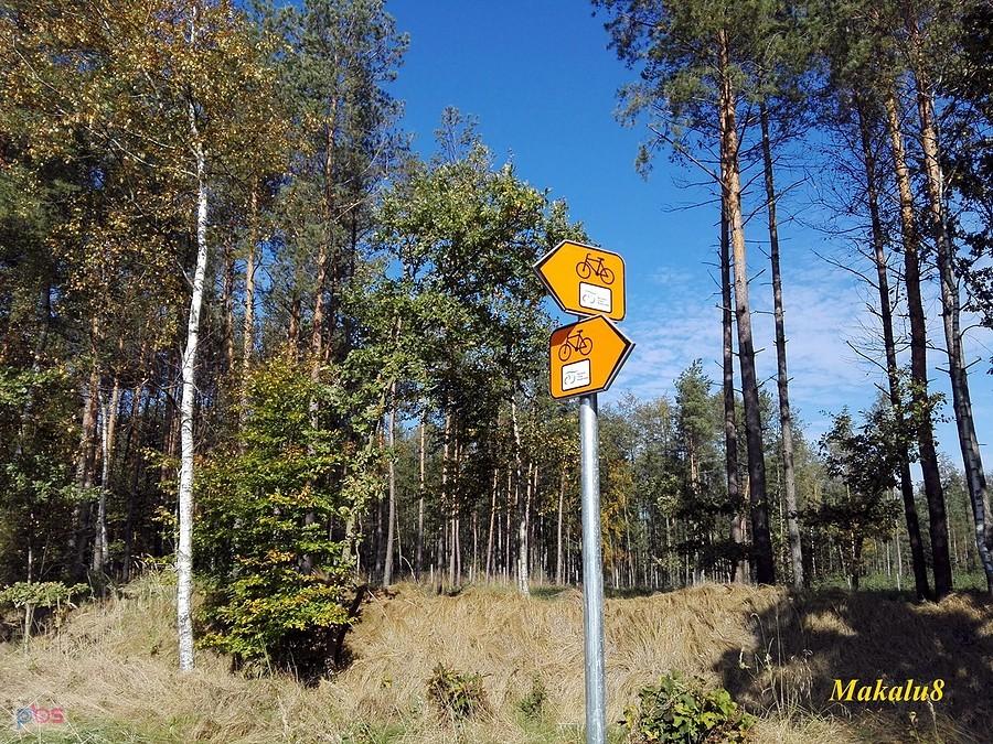 Sląski odcinek WTR doczekał się oznakowania