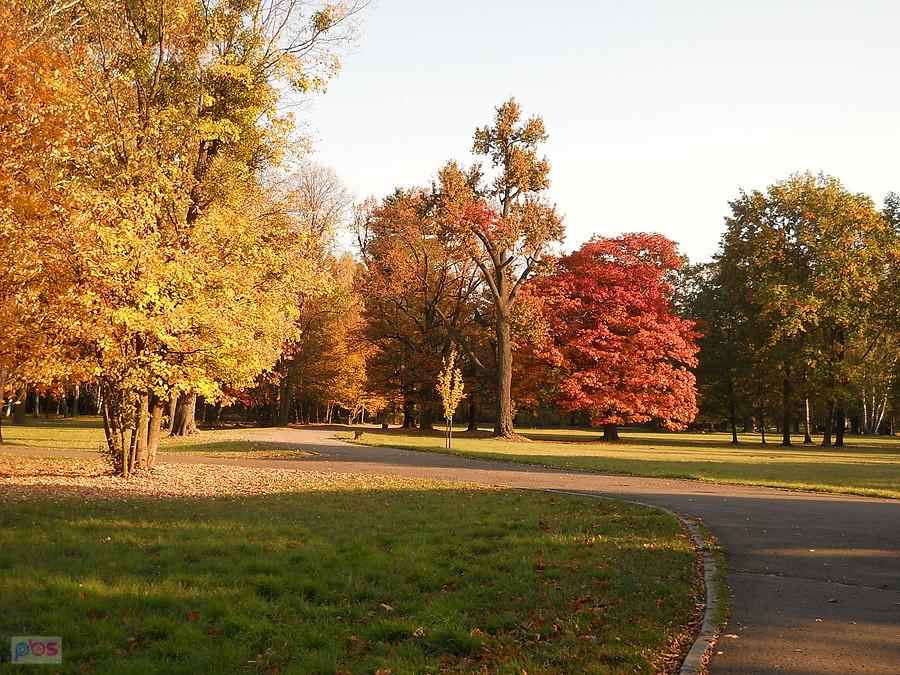park w Świerklańcu