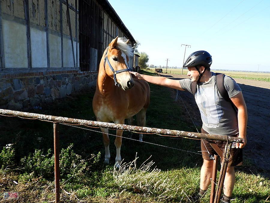 Kuba i konik z Grunhof.