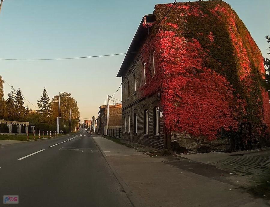 Kolorowy jesienny dom