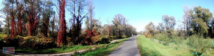 Panorama na wale Olzy