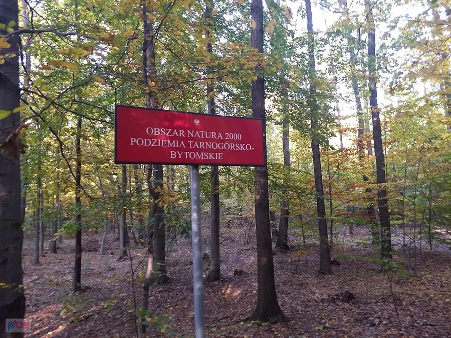 Podziemia tarnogórsko-bytomskie