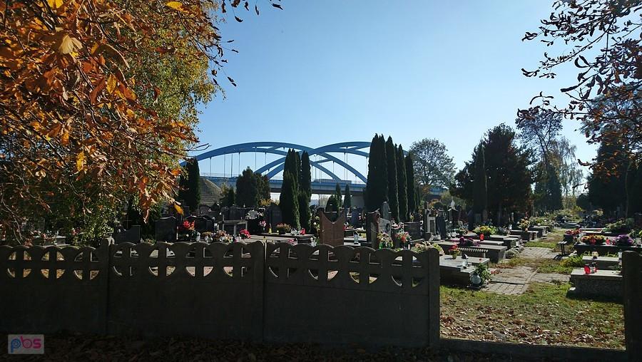 W Gołąbkach