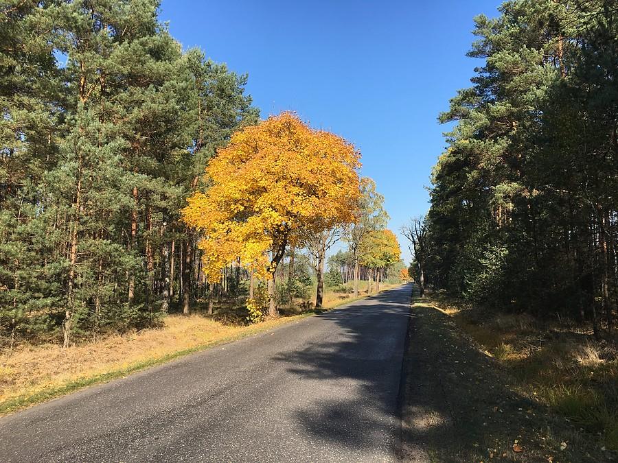 trasa Zielonagóra - Tarnówko