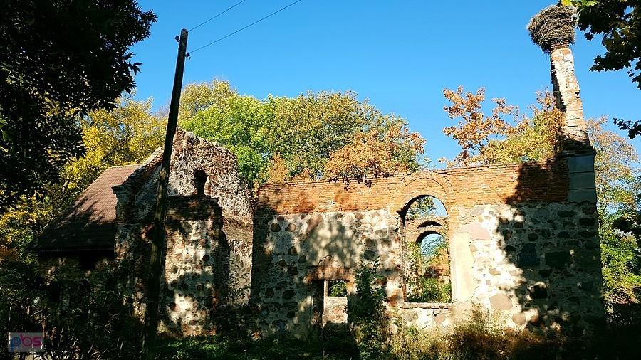 RYSZEWO (niem.Gross Rischow) Ruiny kościoła z XV w.