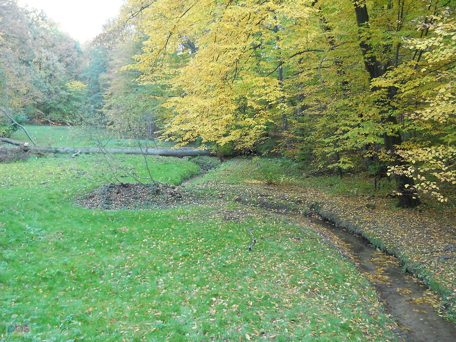 rzeka