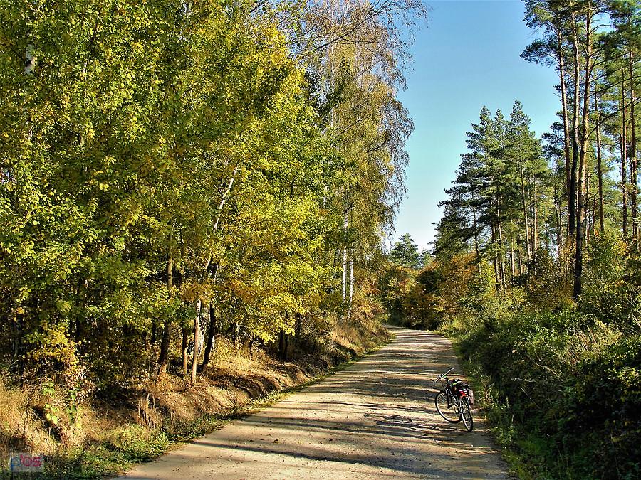 Wycieczka rowerowa - jesienne klimaty. Okolice Tczewa.