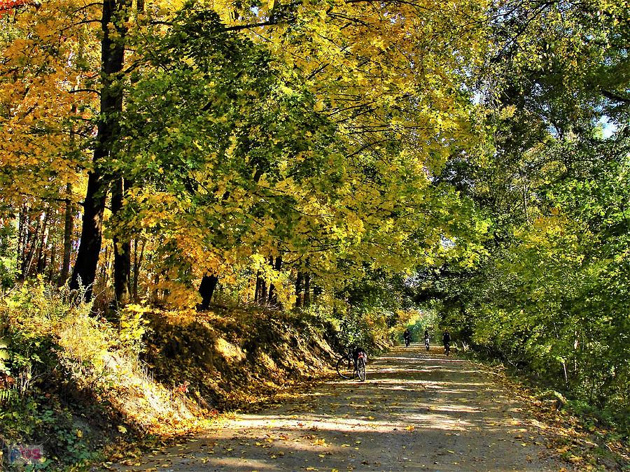 Wycieczka rowerowa - jesienne klimaty. Okolice Tczewa.
