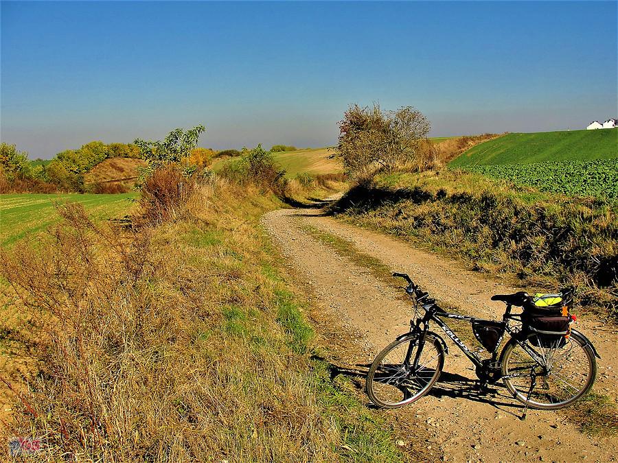 Wycieczka rowerowa - jesienne klimaty. Okolice Tczewa.