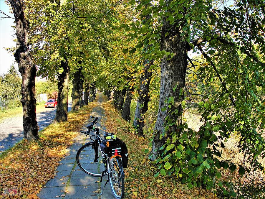 Wycieczka rowerowa - jesienne klimaty. Okolice Tczewa.
