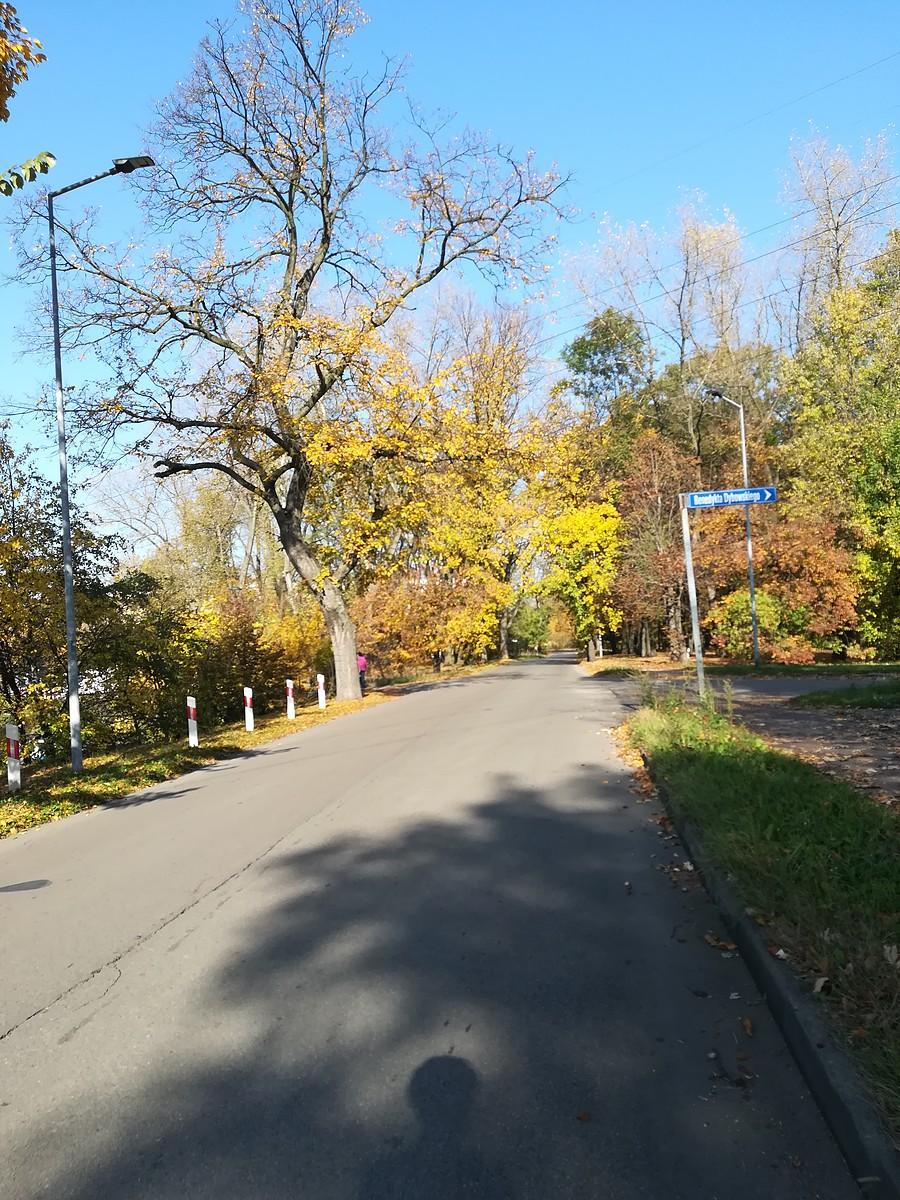 Sosnowiec - Niwka