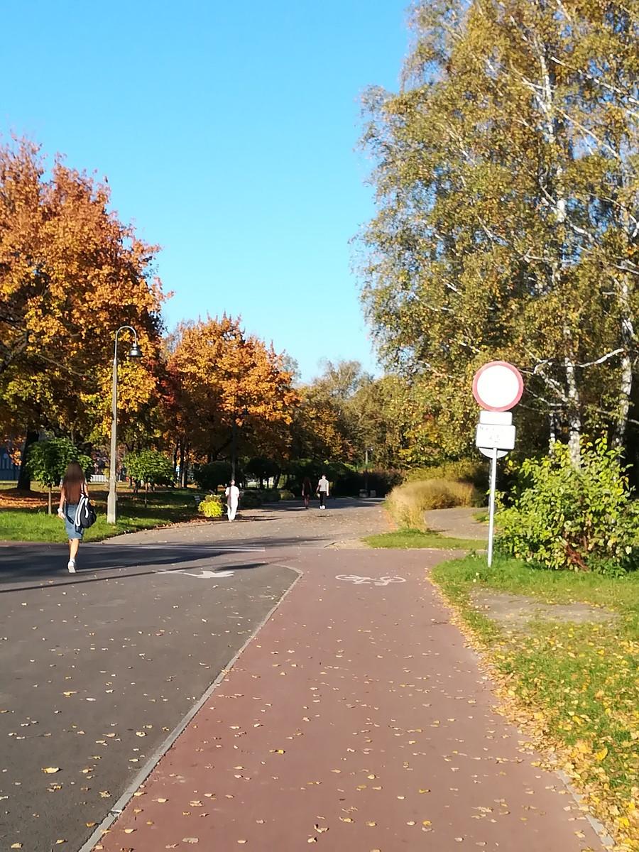Sosnowiec - Park Sielecki