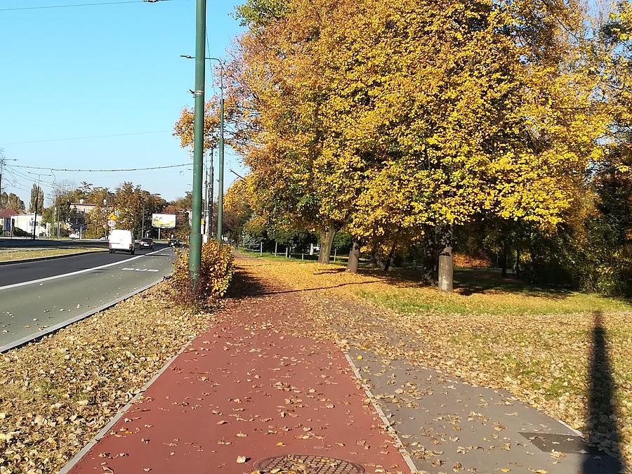 Sosnowiec - Park Sielecki