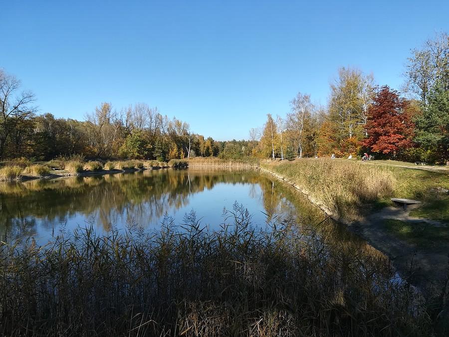 Sosnowiec Rybaczówka