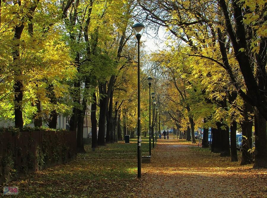 Ulica Obrzeżna