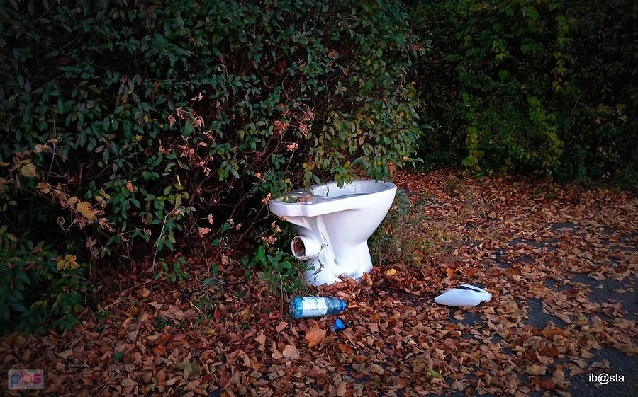 Gościu, siądź pod mym liściem a odpocznij sobie, Nie dojdzie cię tu słońce, przyrzekam ja tobie ... ;)