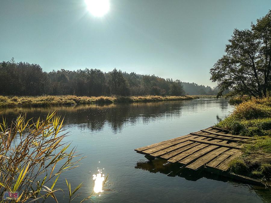 Nad Pilicą