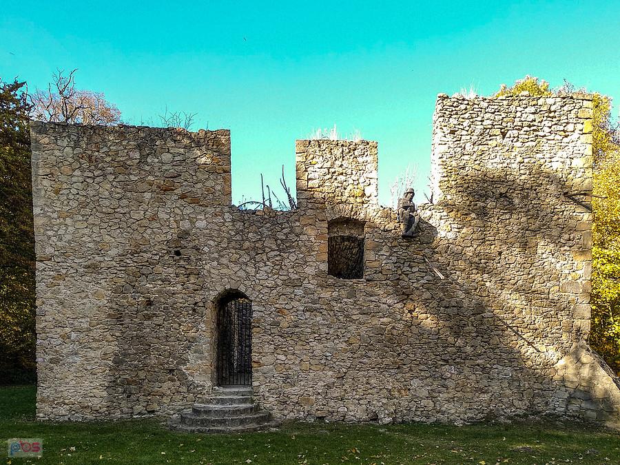Zamek na Bąkowej Górze.